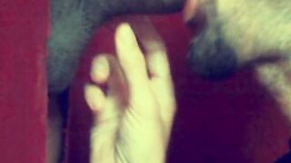 GH Sex Clip 1