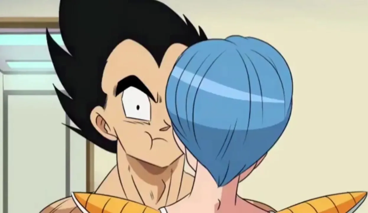 Vegeta gets a gift (Vegeta x Bulma [FunsexyDB]