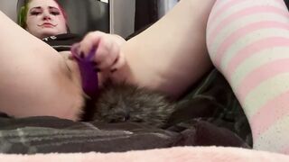 Cat cunt with mouth uses toy on tight vagina
