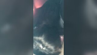 Amazingly Hot cunt with mouth gives sloppy blowjobs