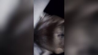 Close up rough penis inside twat