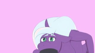 Horse Penis Oral Sex