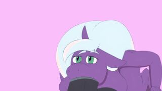 Horse Penis Oral Sex