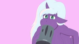 Horse Penis Oral Sex