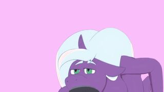 Horse Penis Oral Sex