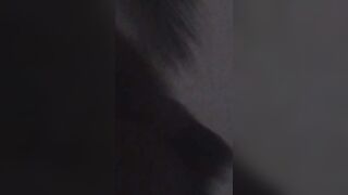 New exhibitionist fiance dared to check the mail to tease next door