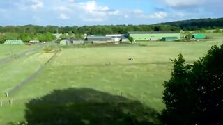 3 bites en baise brutale pour cette chienne francaise