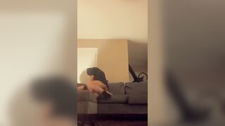 Amateur lovers liking and exploring each other’s desire