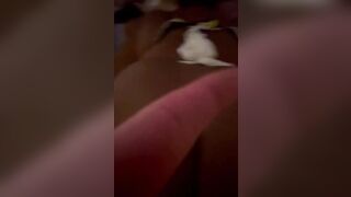 Thick African Skank Squirts Taking Long Dick