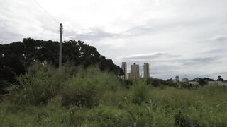 Fucking inside the middle of the forest.