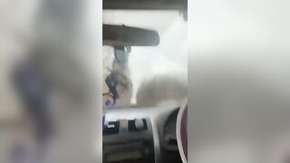 HornyBella ride stick the right way