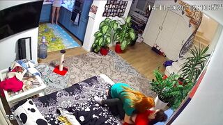 WH-IP-007. IP Cameras