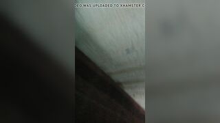 Kamwali anima