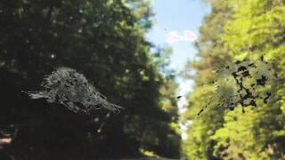 Fucking a Faerie inside the Forest into 4K- Hottie Hippies