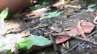 Piss inside outdoors panty