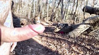 Back into the woods after the cold weather
