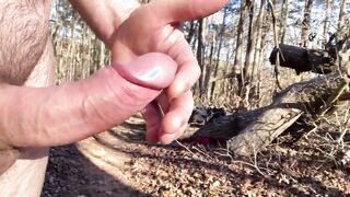 Back into the woods after the cold weather