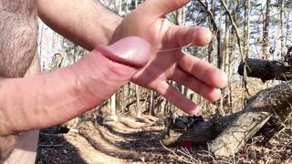 Back into the woods after the cold weather