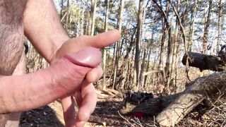 Back into the woods after the cold weather