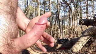 Back into the woods after the cold weather