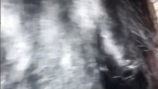 Next door next door begged and paid me 1500 yo have sex with Ready