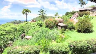 honeymoon luxury paradise hotel window plowed - projectfundiary