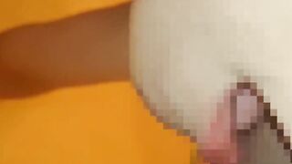 真面目な某小学校の副校長を四つん這い調教