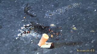 Kumalott - Smoking Blonde Hoe Is Irresistible