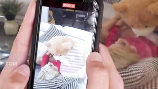 TeamSkeet Selects - The Valentine's Day Unique Compilation Of The