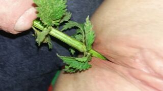 Urethral Nettle Fucking - FETISH Slave female takes nettles inside the snatch