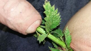 Urethral Nettle Fucking - FETISH Slave female takes nettles inside the snatch