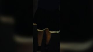 UNA PERRA CAMINA CON UNA JOYA EN SU ANO EN LA NOCHE