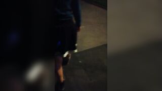 UNA PERRA CAMINA CON UNA JOYA EN SU ANO EN LA NOCHE