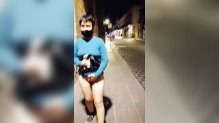 UNA PERRA CAMINA CON UNA JOYA EN SU ANO EN LA NOCHE