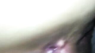 Cumming On Cougar's Asshole