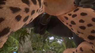 RHINO NUTS | Wild Life Furries