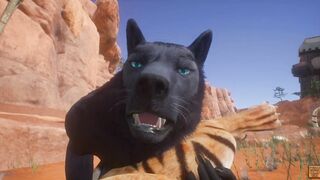 Wild Life Tiger Furry bimbos With Wolf (Furry women pov)
