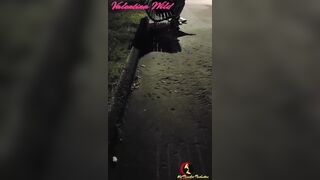 Valentina Wild Public Group Sex 28