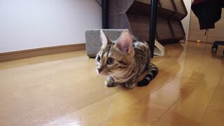 Vagina pouts alone because it wants to play with you.