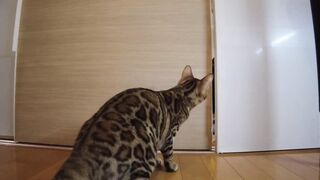 Vagina pouts alone because it wants to play with you.