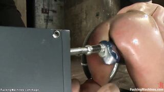 Tied hot caned and machine plowed