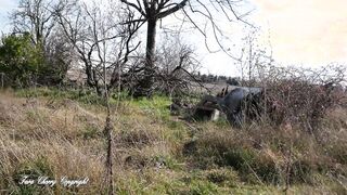 I visit an abandoned house and I got surprised by the owners (anal sex outdoors)