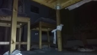 female domination my bimbos milking me under table long cum