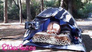 BBW making off into forest three