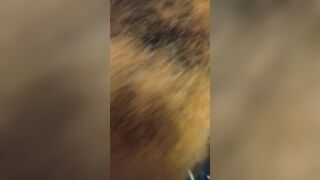 BBW Mistress offer amazingly hot Fellatio she loves hitting my sensitive meat hook