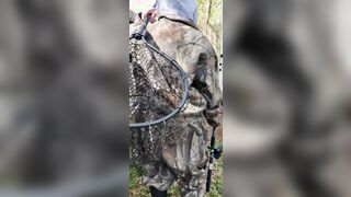 Fucking And fishing at the Creek into Florida