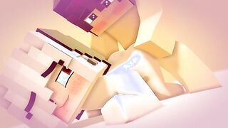 MINECRAFT - STEVE FUCKS JENNY