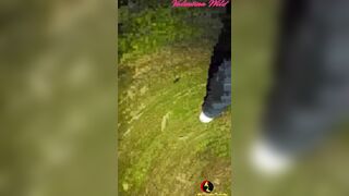 Valentina Wild Outdoors Group Sex 33