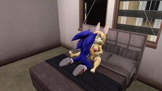 Sonic X Bunnie