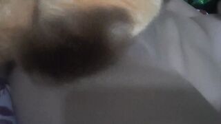 Lamidas de coño de chica hispanic en el salón de clases 